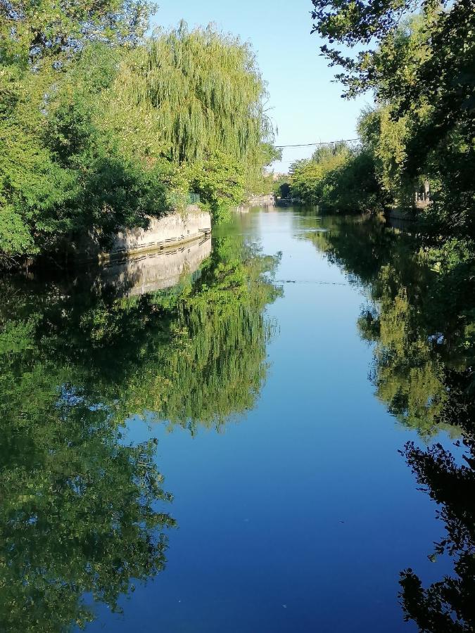 Gite Les Demoiselles Des Sorgues LʼIsle-sur-la-Sorgue Exterior foto